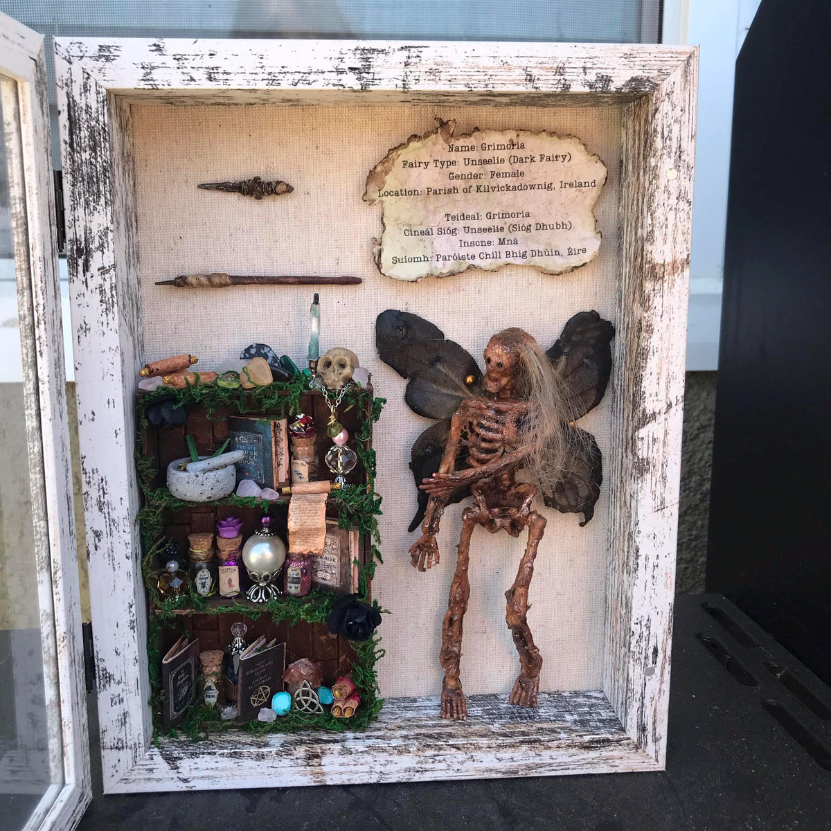 Mummified Dead Female Dark Fairy, Shadowbox, fairycore, oddities,goblincore, taxidermy, shadow Box