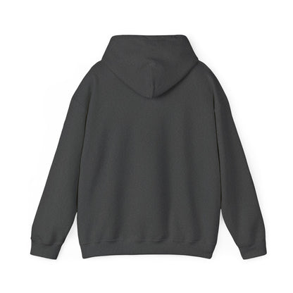 Too Enchanted To Care Hoodie — Whimsical Fairy Girl Graphic Sweatshirt