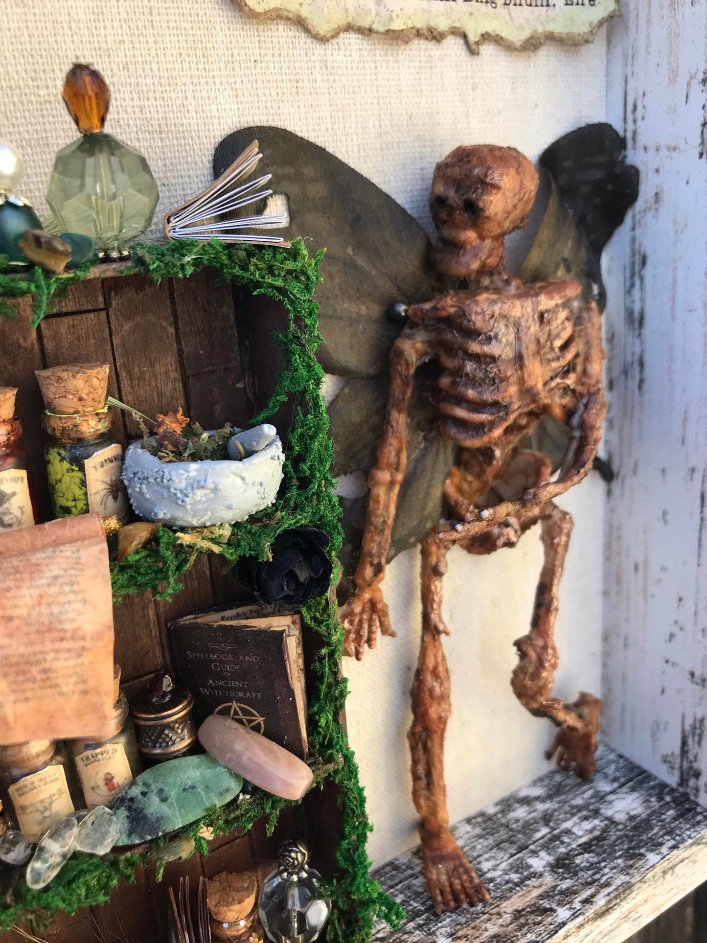 Mummified Dead Male Dark Fairy, Shadowbox, fairycore, oddities,goblincore, taxidermy
