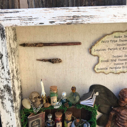 Mummified Dead Male Dark Fairy, Shadowbox, fairycore, oddities,goblincore, taxidermy