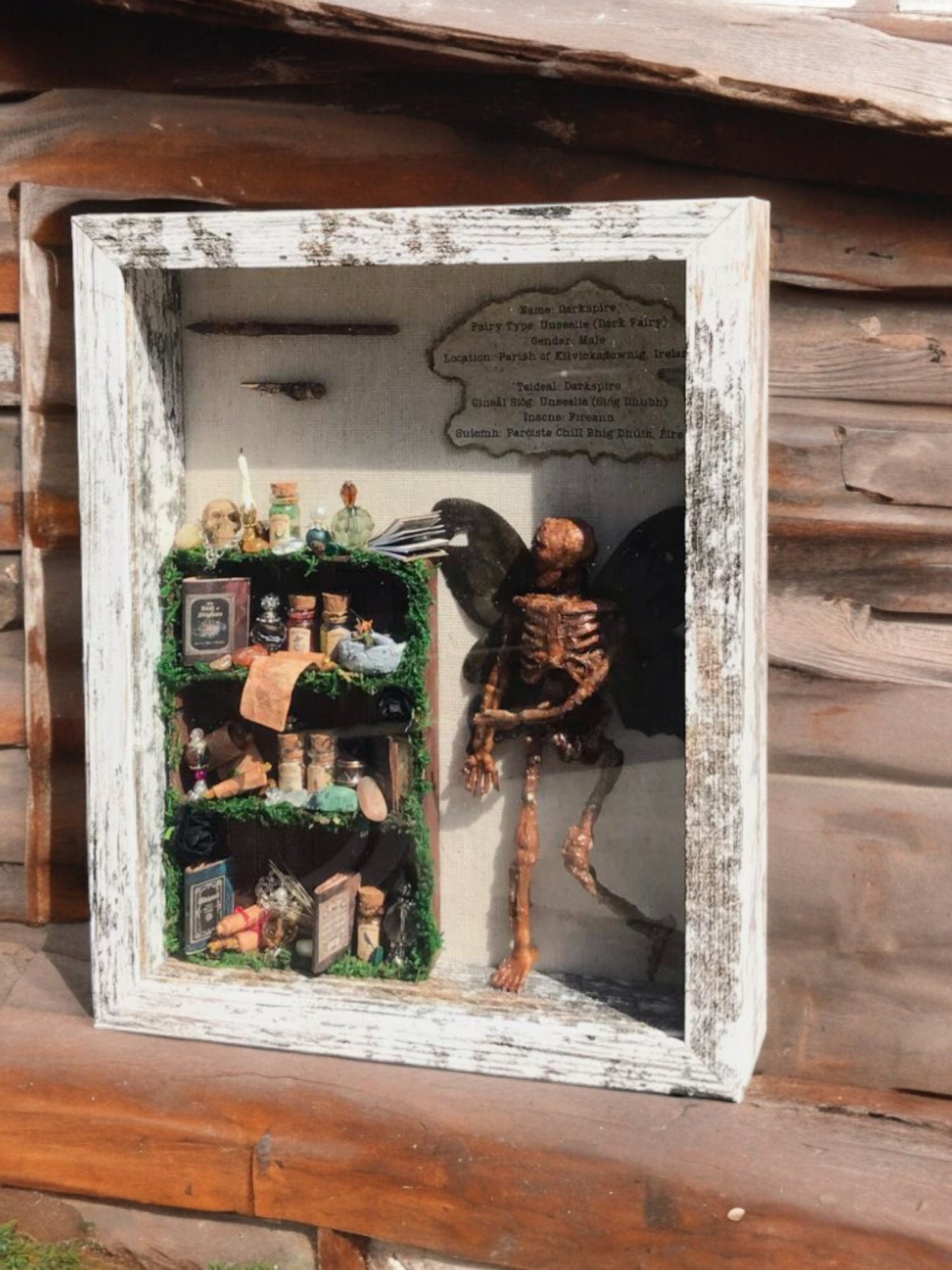 Mummified Dead Male Dark Fairy, Shadowbox, fairycore, oddities,goblincore, taxidermy