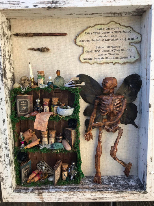 Mummified Dead Male Dark Fairy, Shadowbox, fairycore, oddities,goblincore, taxidermy