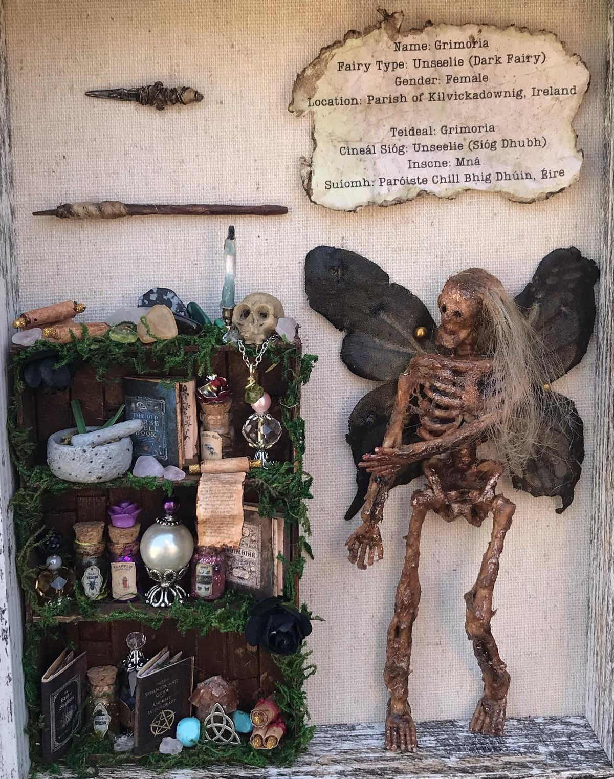 Mummified Dead Female Dark Fairy, Shadowbox, fairycore, oddities,goblincore, taxidermy, shadow Box