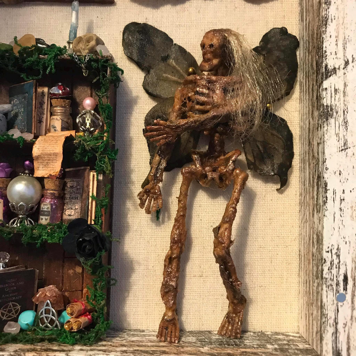 Mummified Dead Female Dark Fairy, Shadowbox, fairycore, oddities,goblincore, taxidermy, shadow Box
