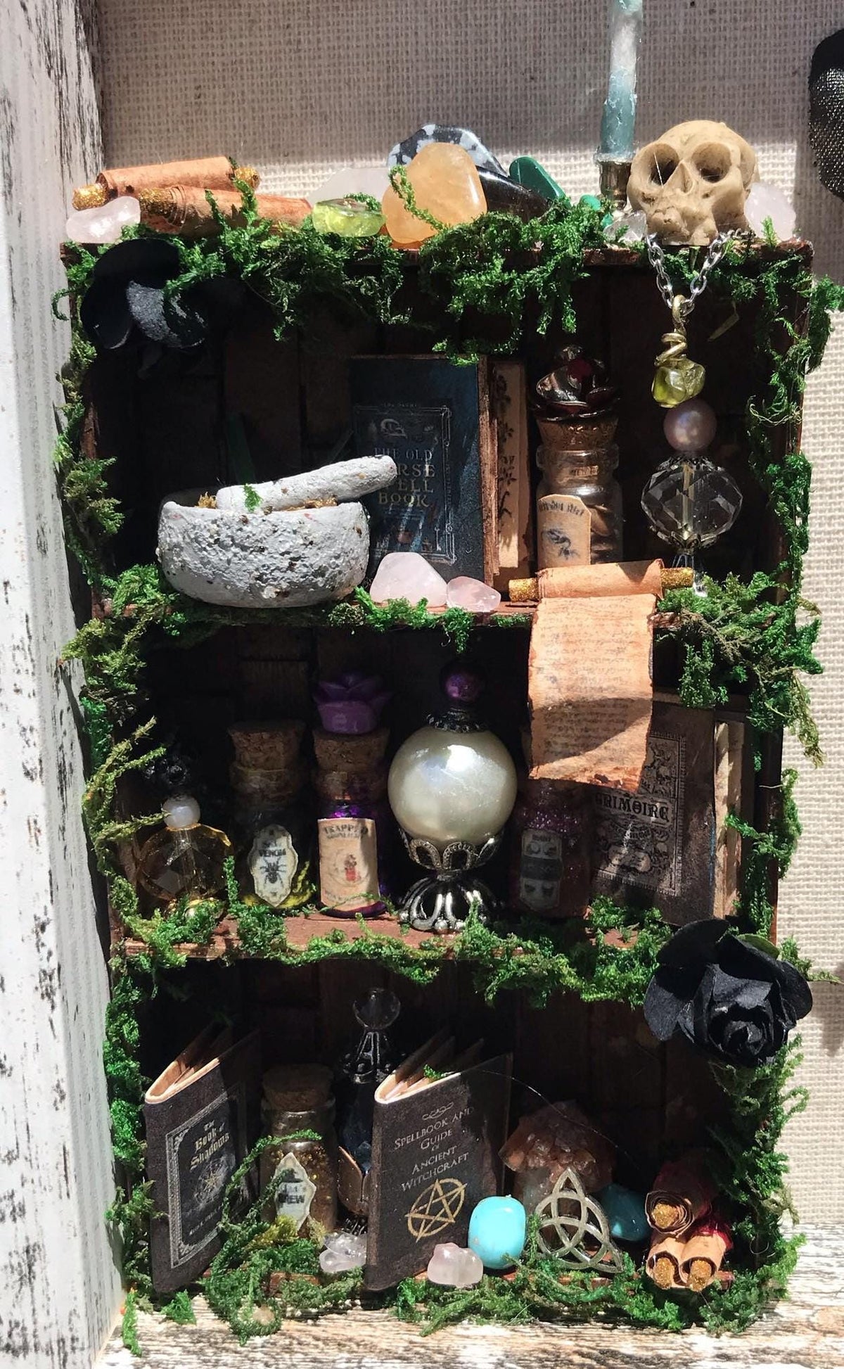 Mummified Dead Female Dark Fairy, Shadowbox, fairycore, oddities,goblincore, taxidermy, shadow Box